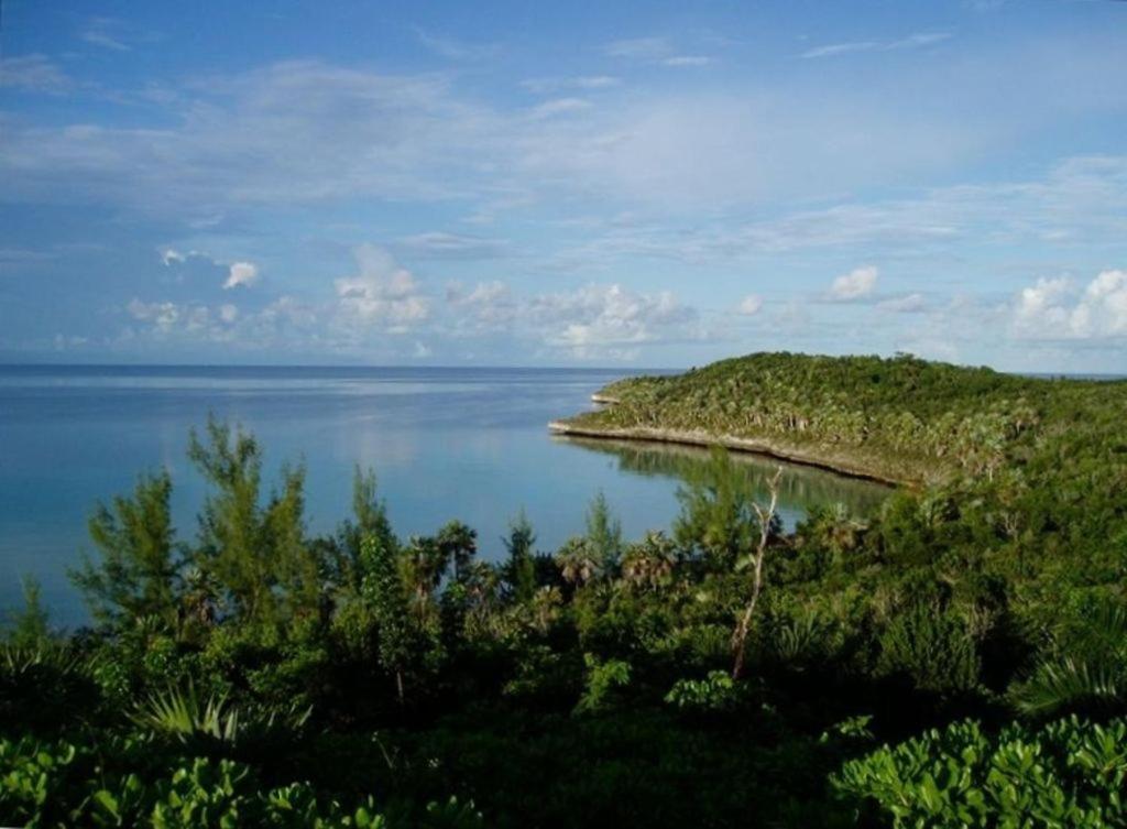 Beside The Pointe Cottage Savannah Sound Exteriér fotografie